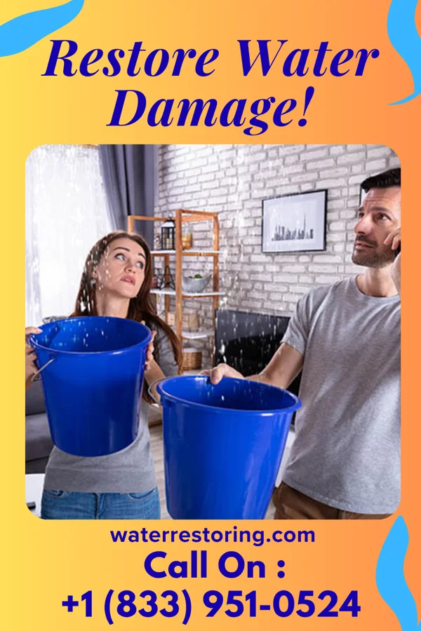water restoration Shield Restoration Professionals Lakeview North